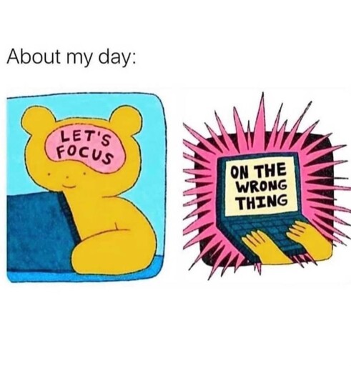 About my day: Let's Focus <bear focusing on a computer screen> computer screen says "On the wrong thing"